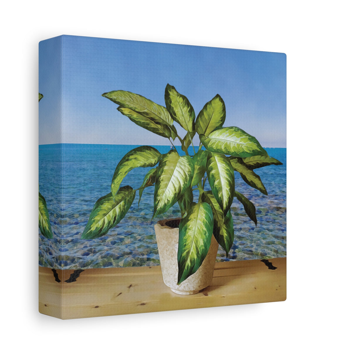 Stretched Matte Canvas - Dieffenbachia plant and Sea Landscape
