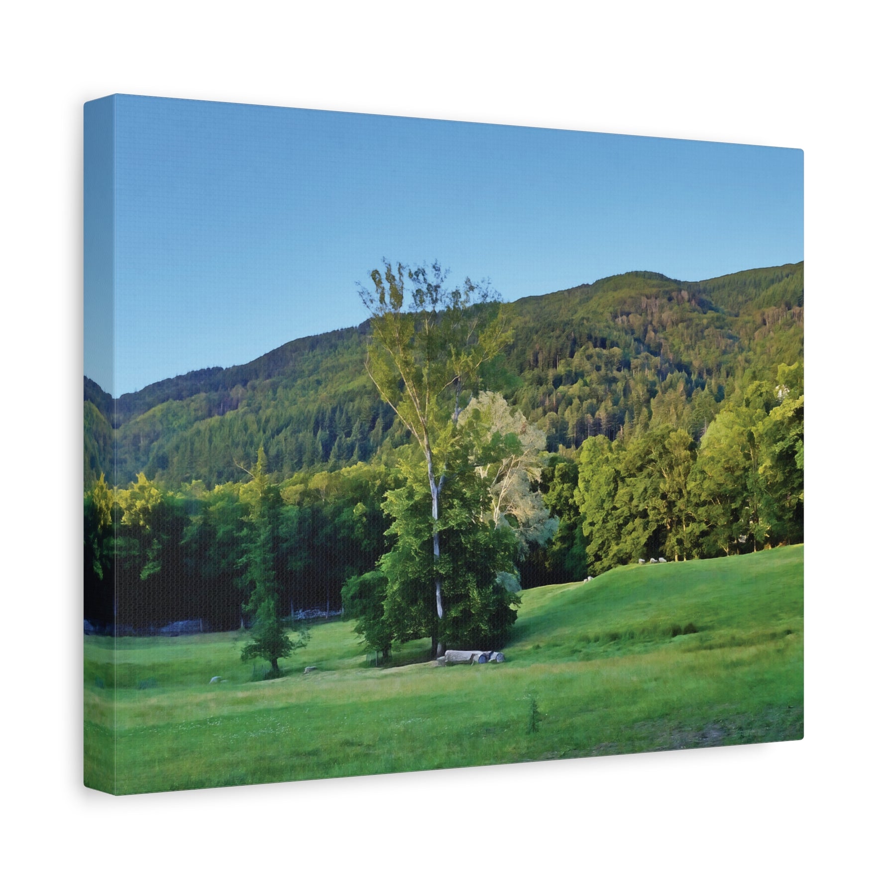 Stretched Matte Canvas - Tree in a lawn (Variant 3)
