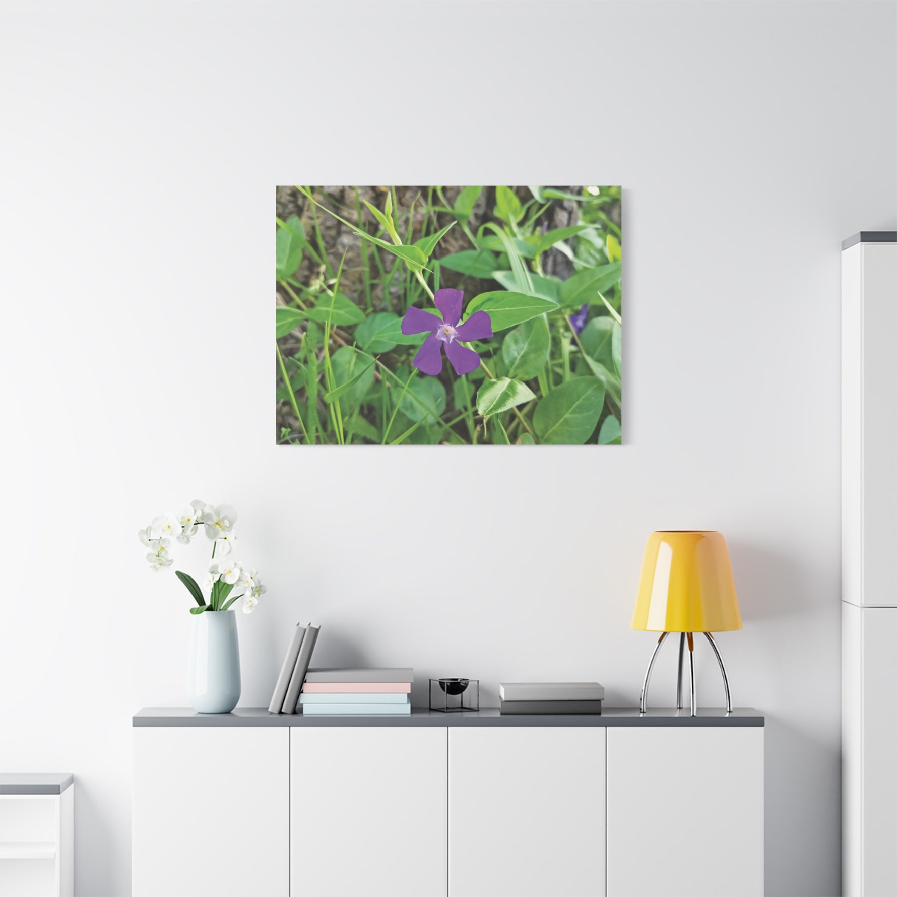 Stretched Matte Canvas - Flower of Vinca Major