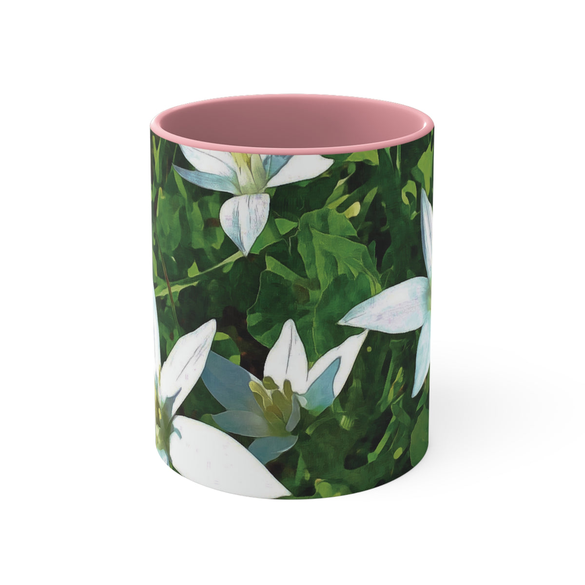 Mug 11oz - Flower of Ornithogalum