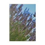 Hardcover Notebook with Puffy Covers - Flower of Lavender with Bombus Insect (Variant 1)