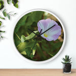Wall Clock - Flower of Convolvulus Arvensis/Vilucchio