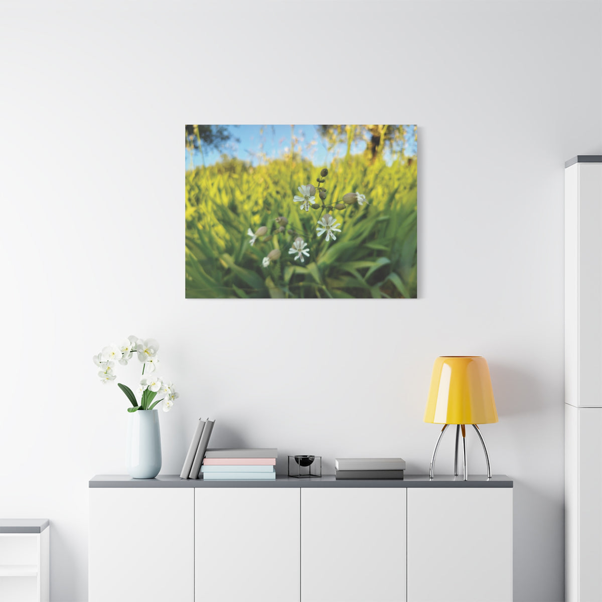 Stretched Matte Canvas - Flower of Silene Vulgaris