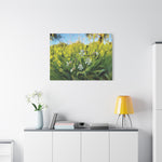 Stretched Matte Canvas - Flower of Silene Vulgaris