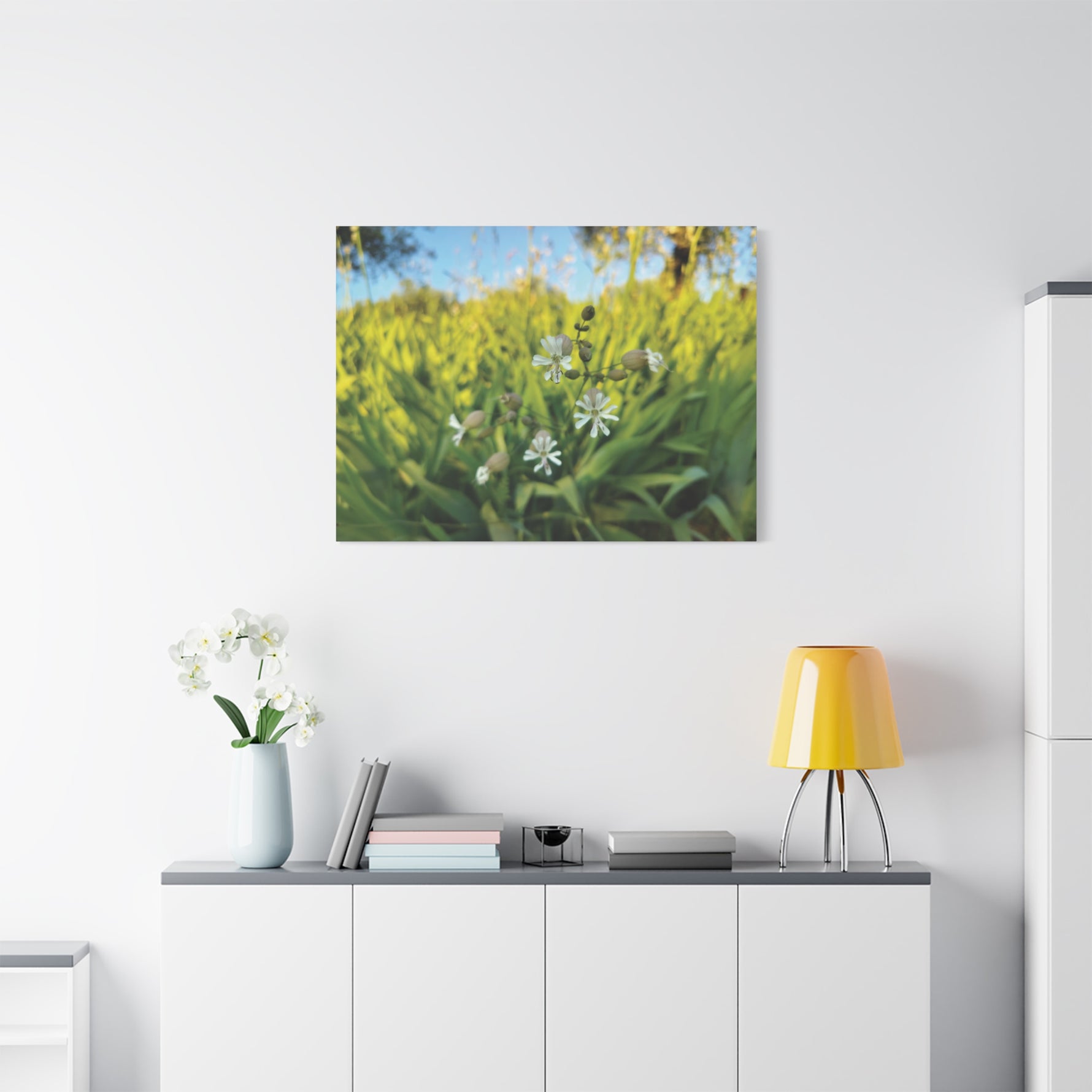 Stretched Matte Canvas - Flower of Silene Vulgaris