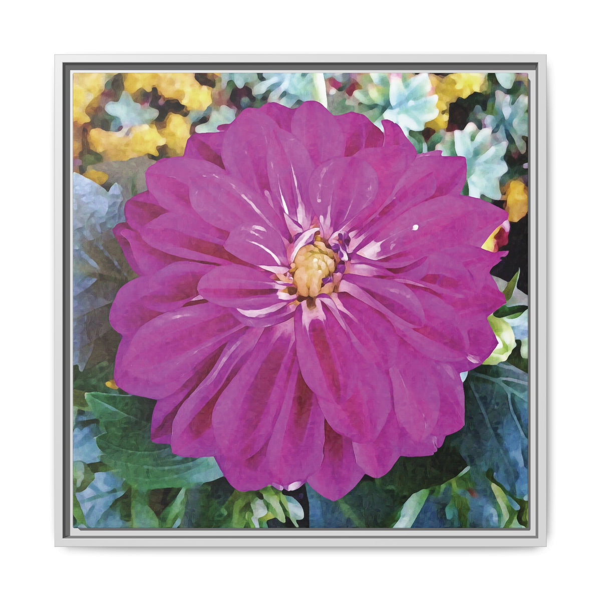 Dahlia (Pink Blossom) | Framed Canvas