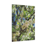 Stretched Matte Canvas - Poly Art - Apple's Tree Flower (Variant 1)
