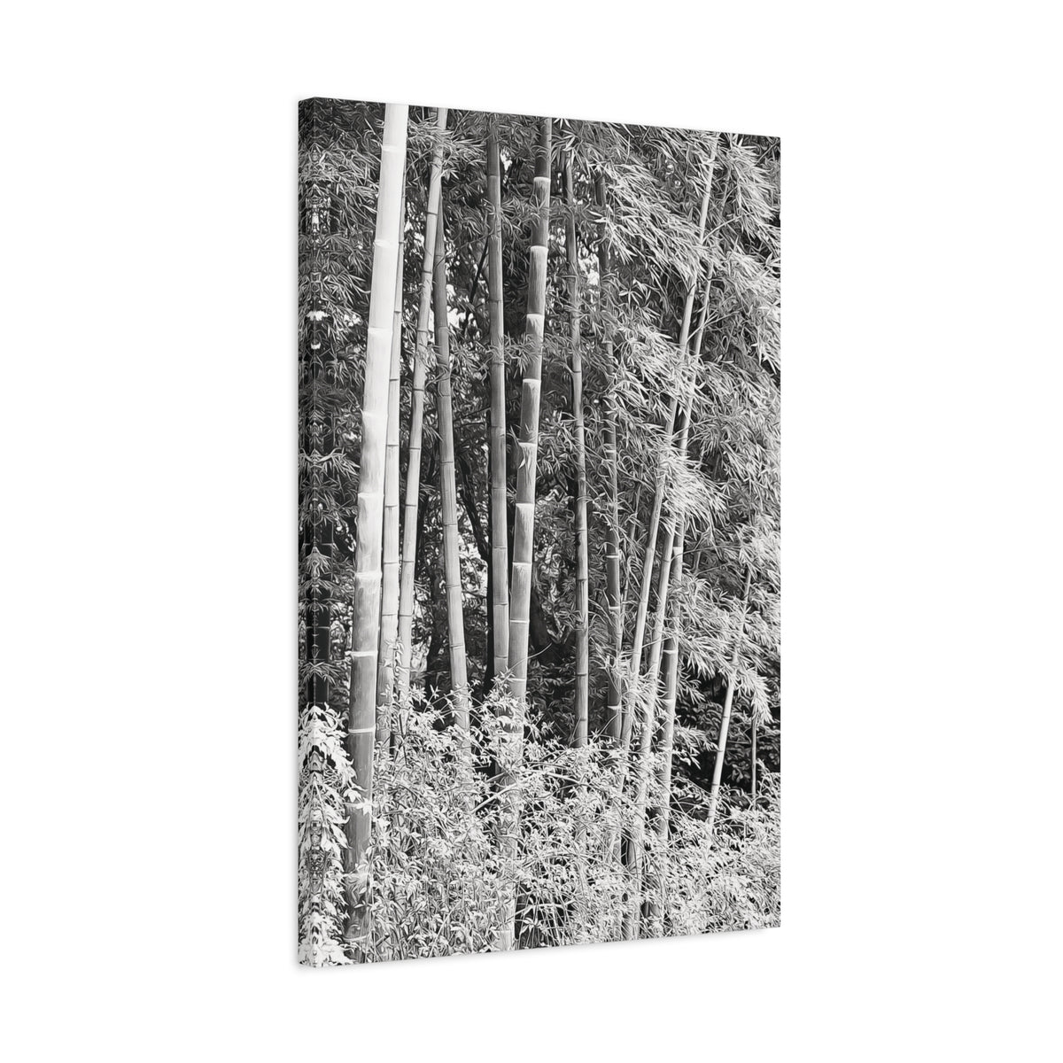 Stretched Matte Canvas - Bamboo (B&W variant)