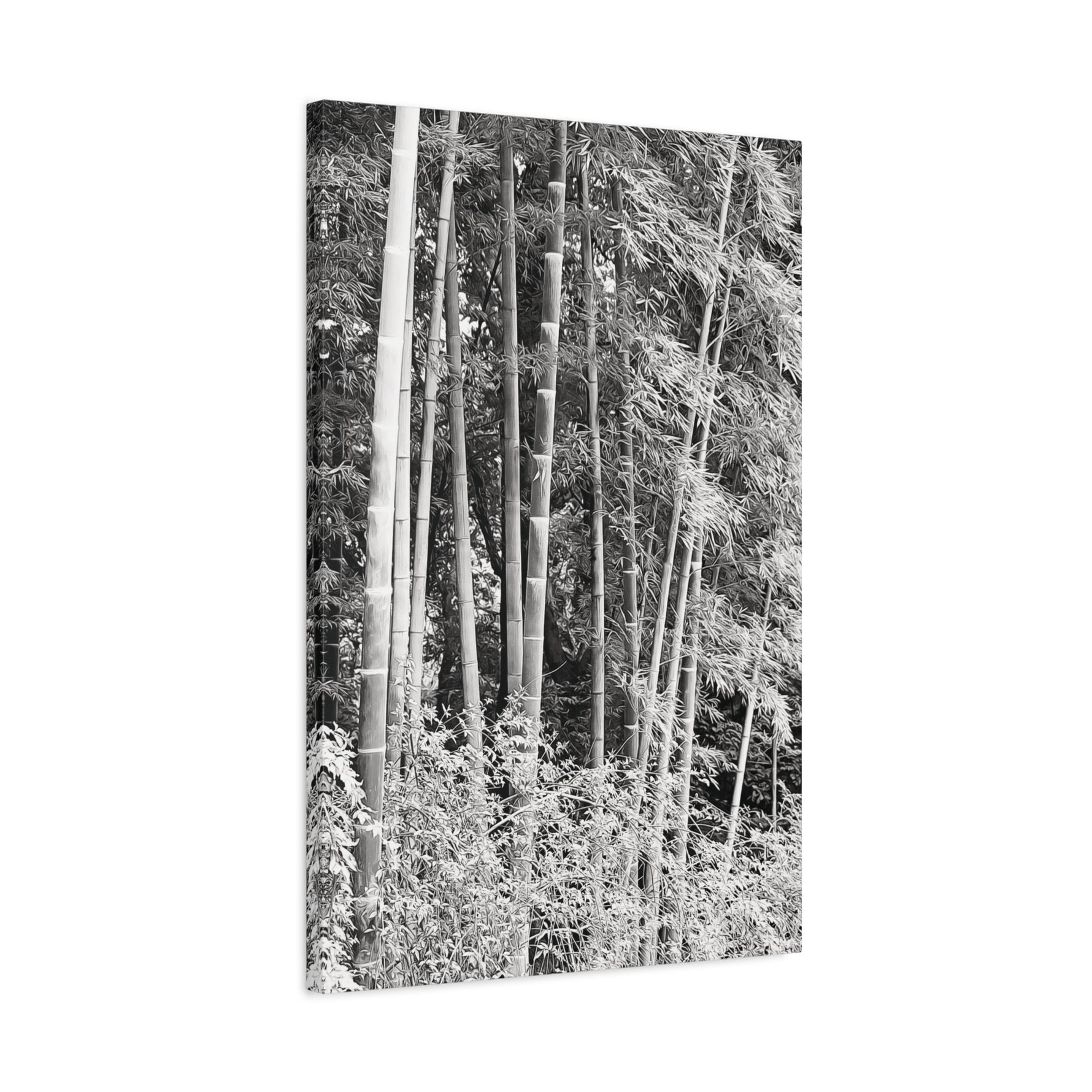 Stretched Matte Canvas - Bamboo (B&W variant)