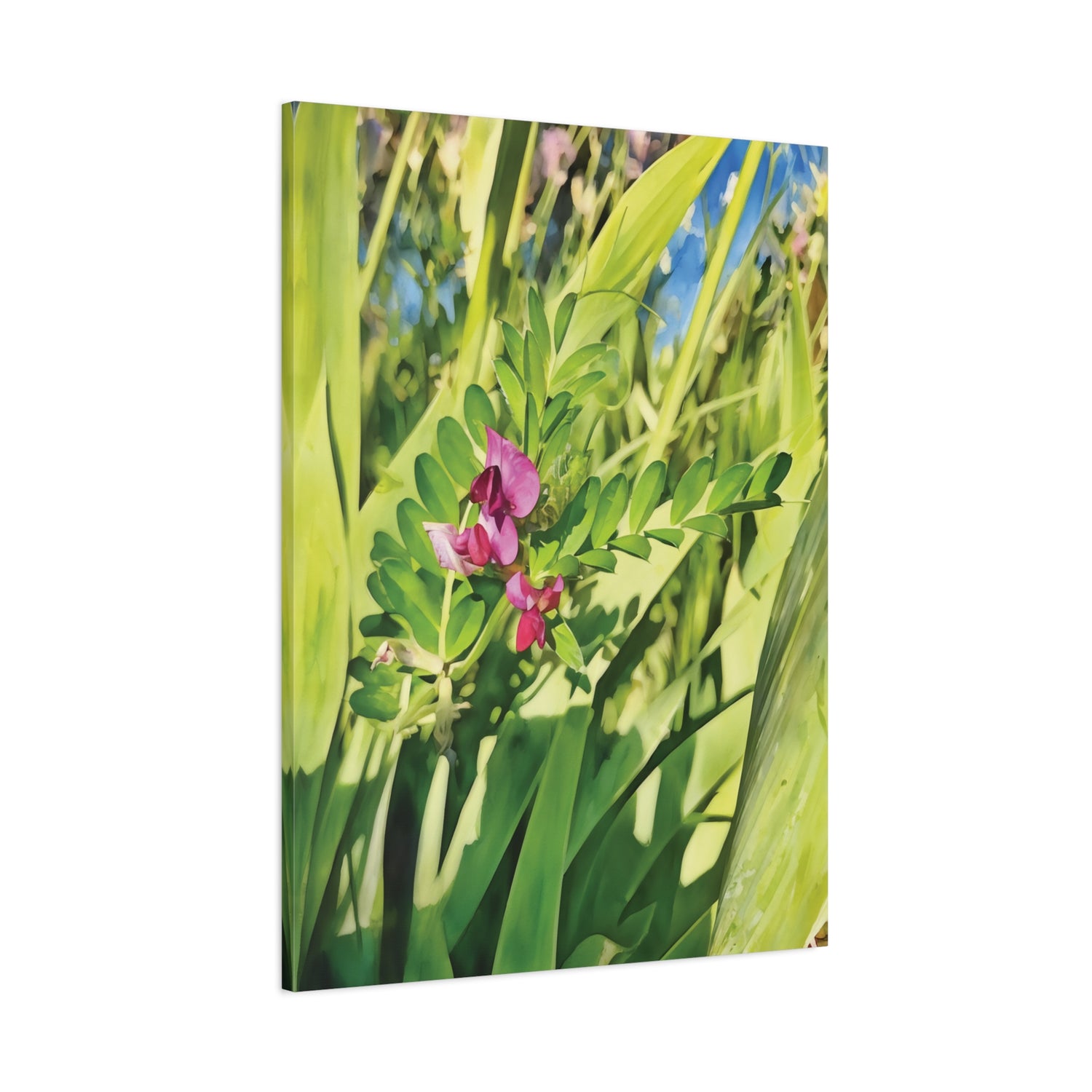 Stretched Matte Canvas - Flower of Vicia Sativa
