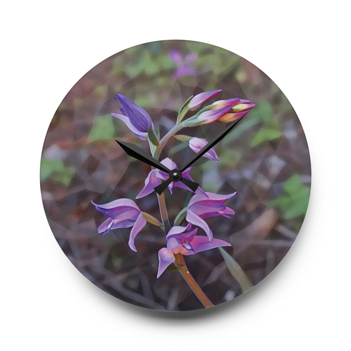Acrylic Wall Clock - Poly Art - Flower of Cephalanthera Rubra