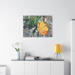 Stretched Matte Canvas - Poly Art - Flower of Calendula (Variant 2)