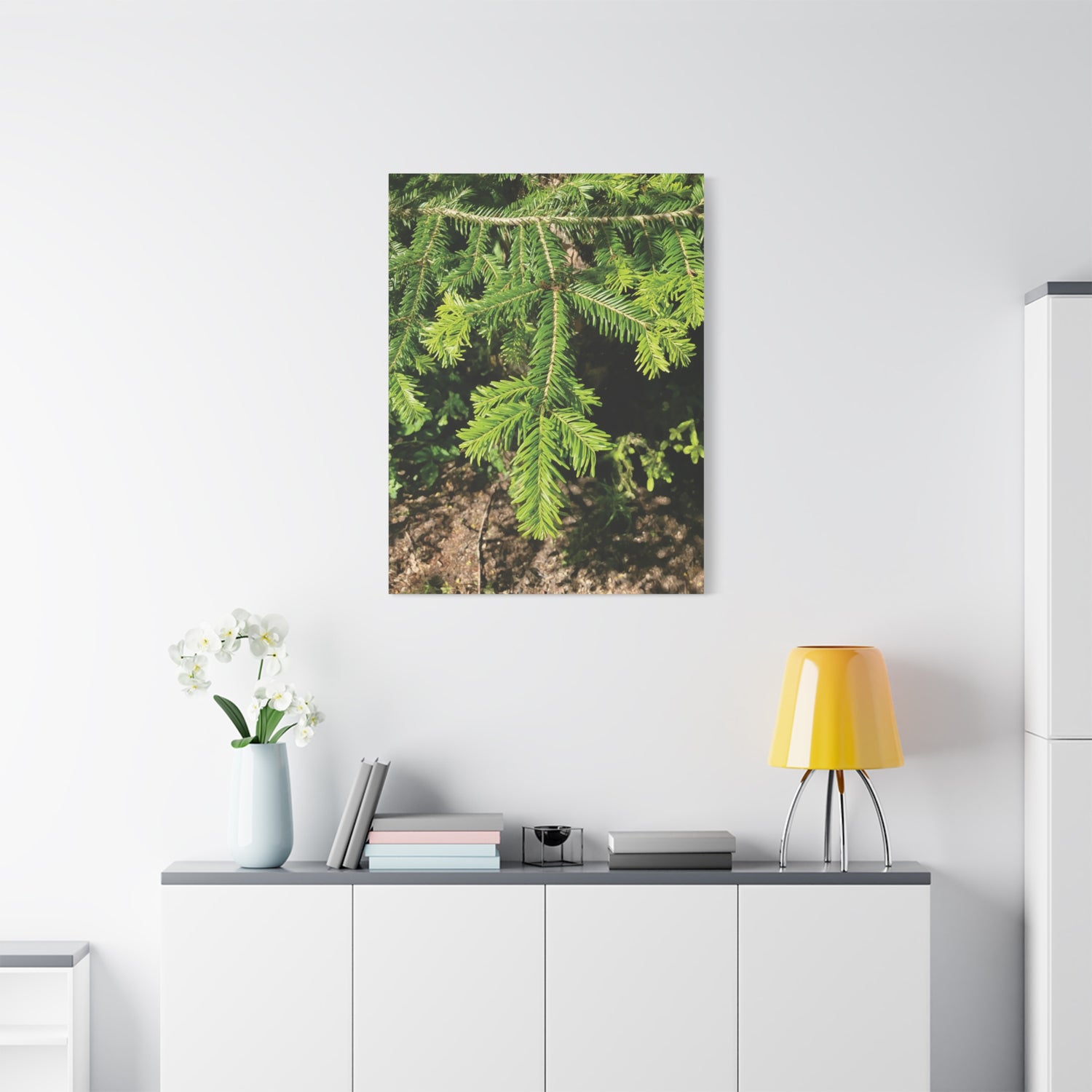 Stretched Matte Canvas - Abies Alba Tree Branches