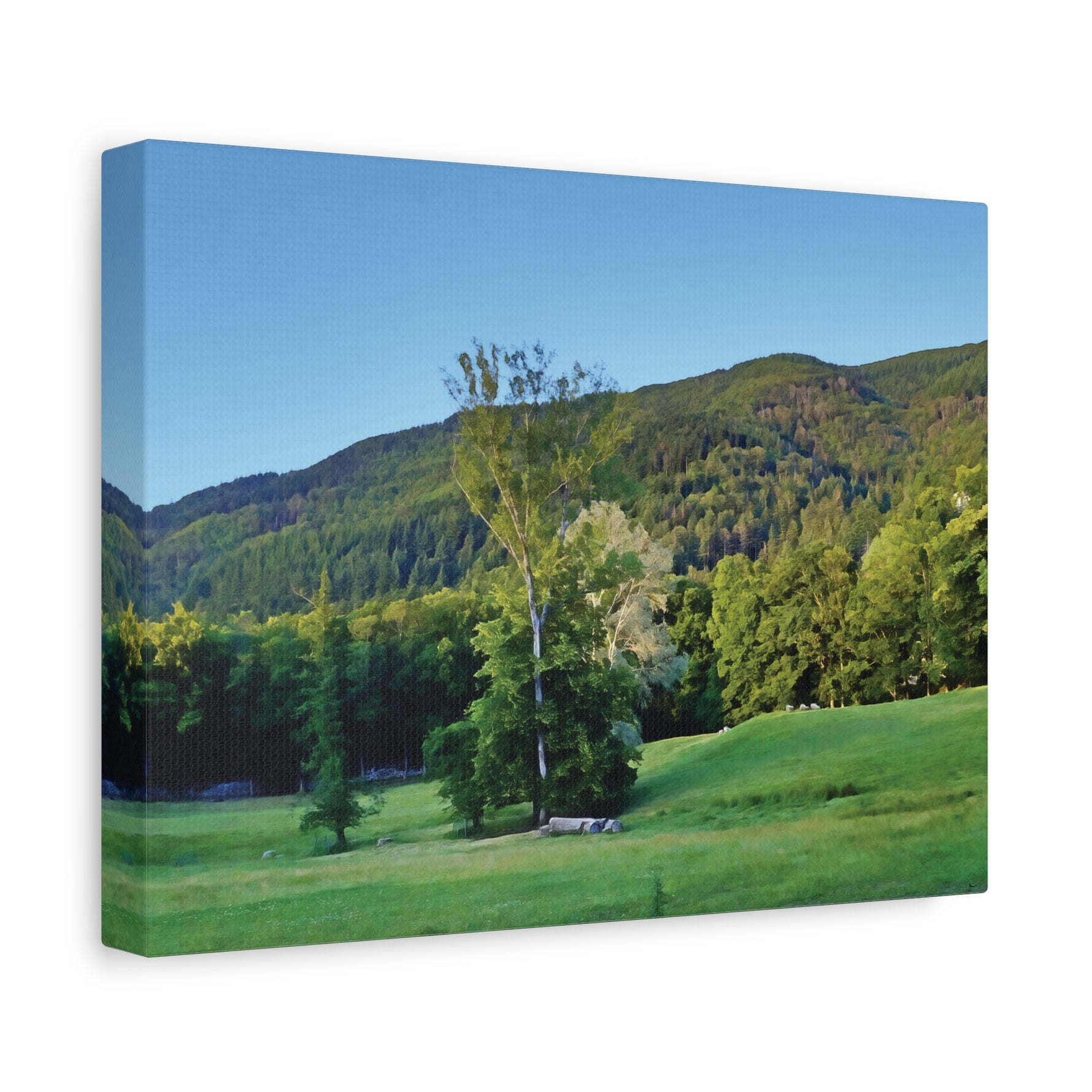 Stretched Matte Canvas - Tree in a lawn (Variant 3)