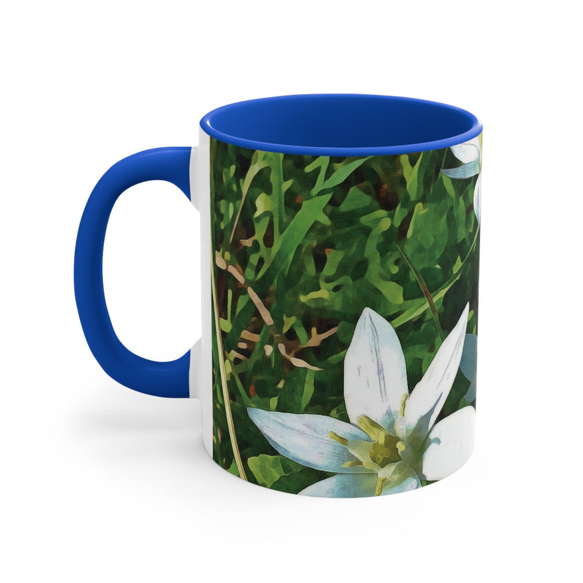 Mug 11oz - Flower of Ornithogalum