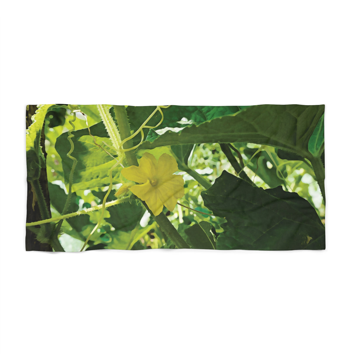 Beach Towel – Flower of Cucumber