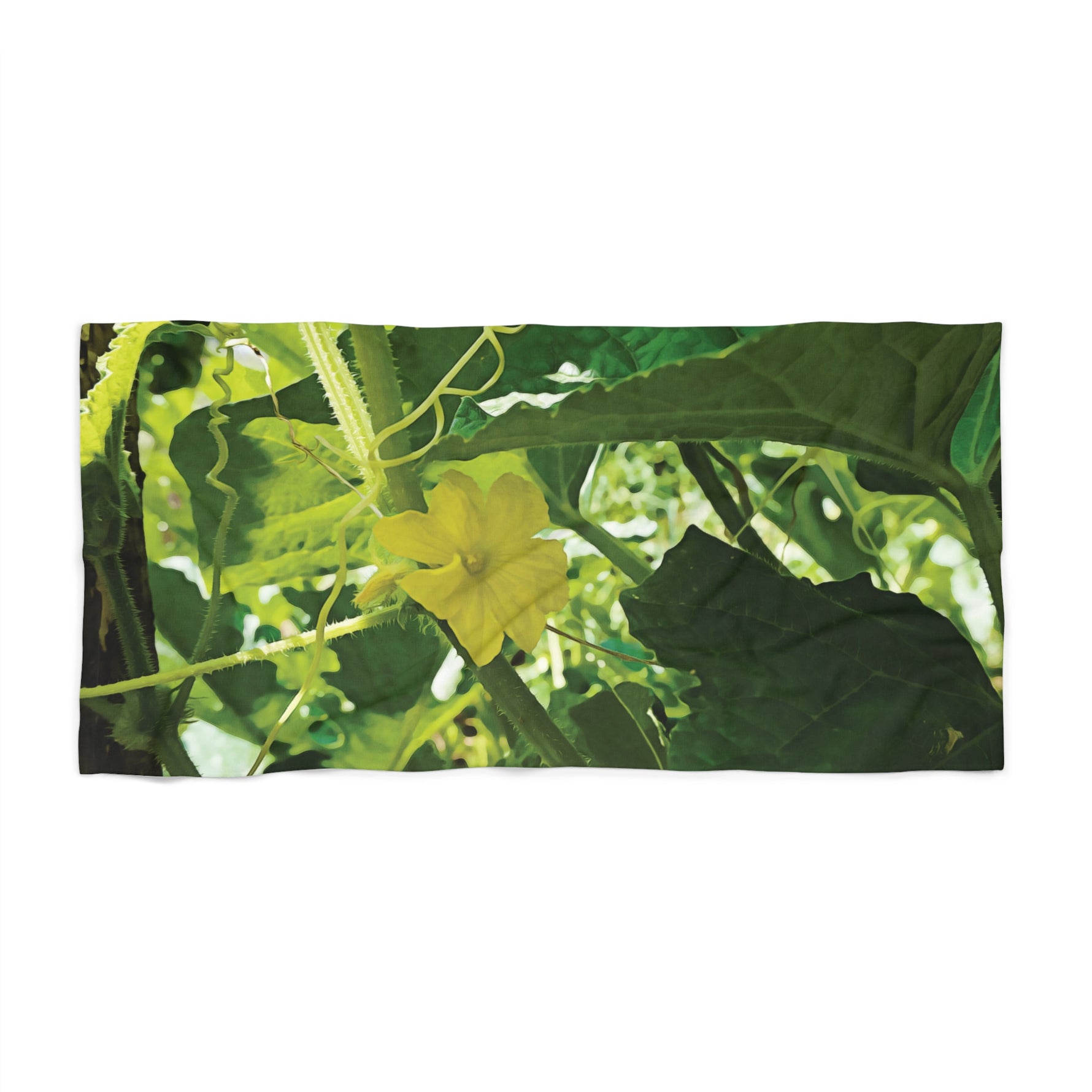 Beach Towel – Flower of Cucumber