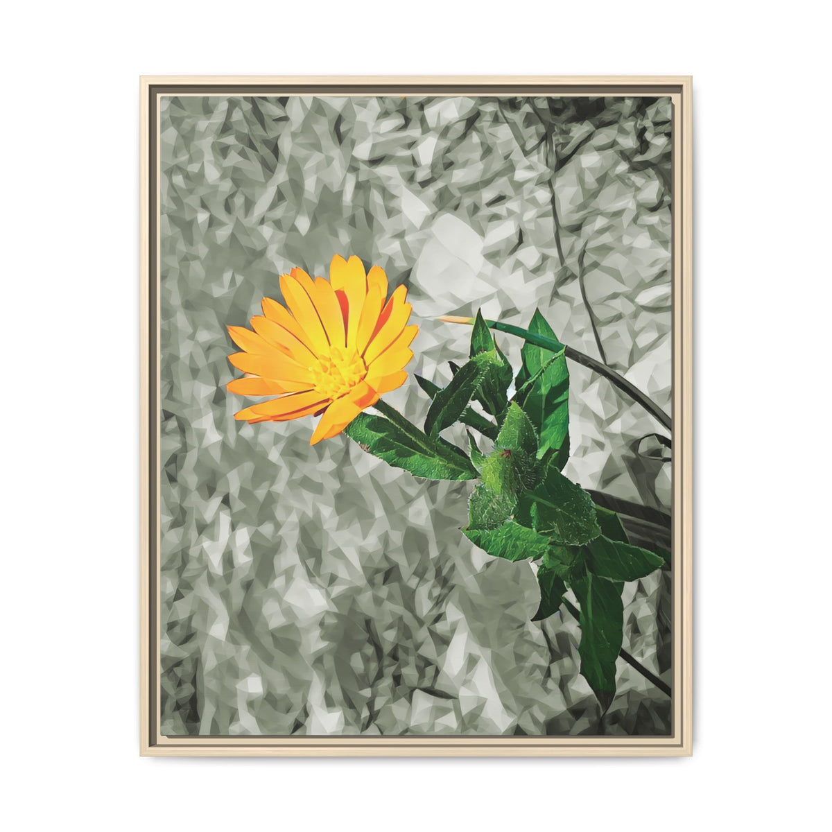 Calendula | Poly Art | Framed Canvas