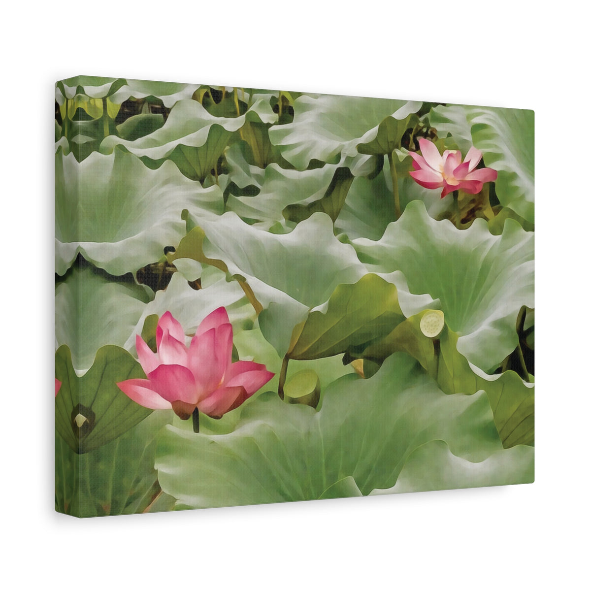 Stretched Matte Canvas - Flower of Lotus