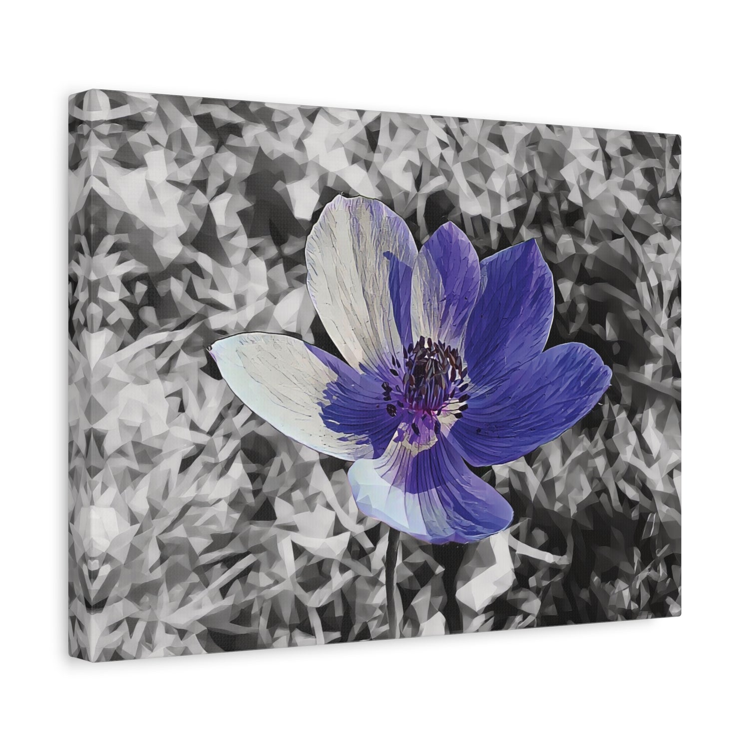 Stretched Matte Canvas - Poly Art - Flower of Anemone