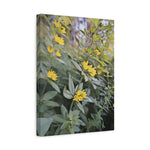 Stretched Matte Canvas - Poly Art - Flower of Lysimachia
