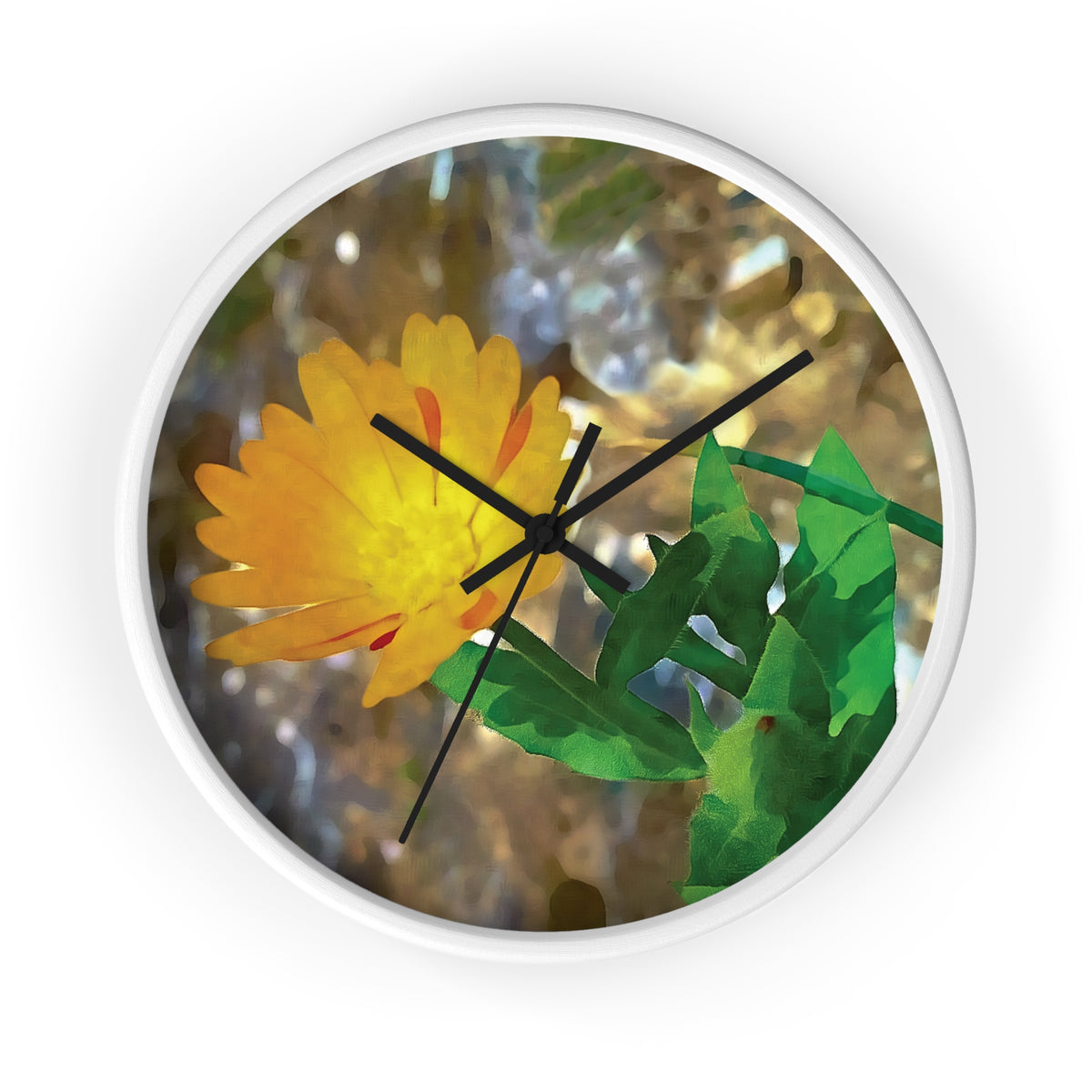 Wall Clock - Flower of Calendula