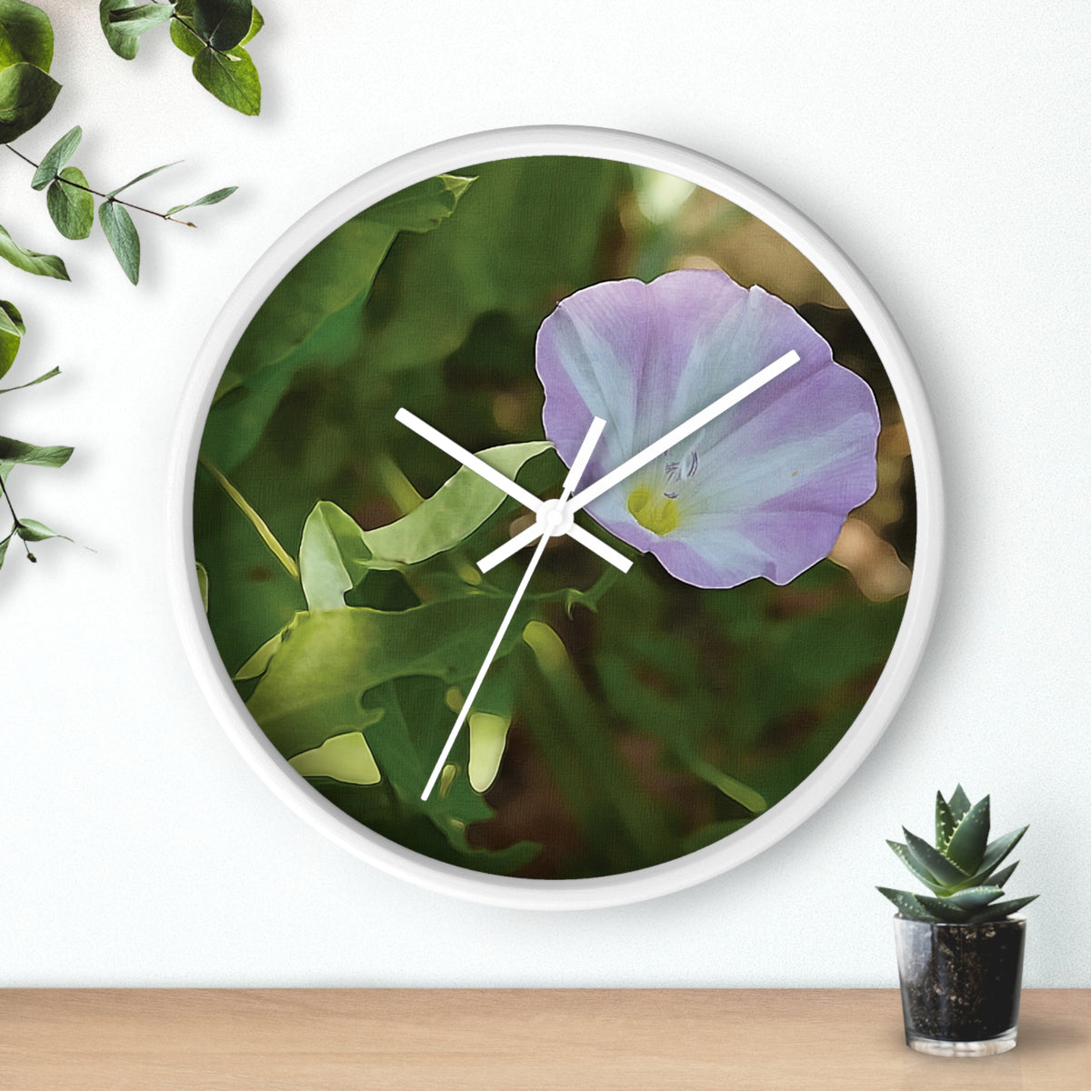 Wall Clock - Flower of Convolvulus Arvensis/Vilucchio
