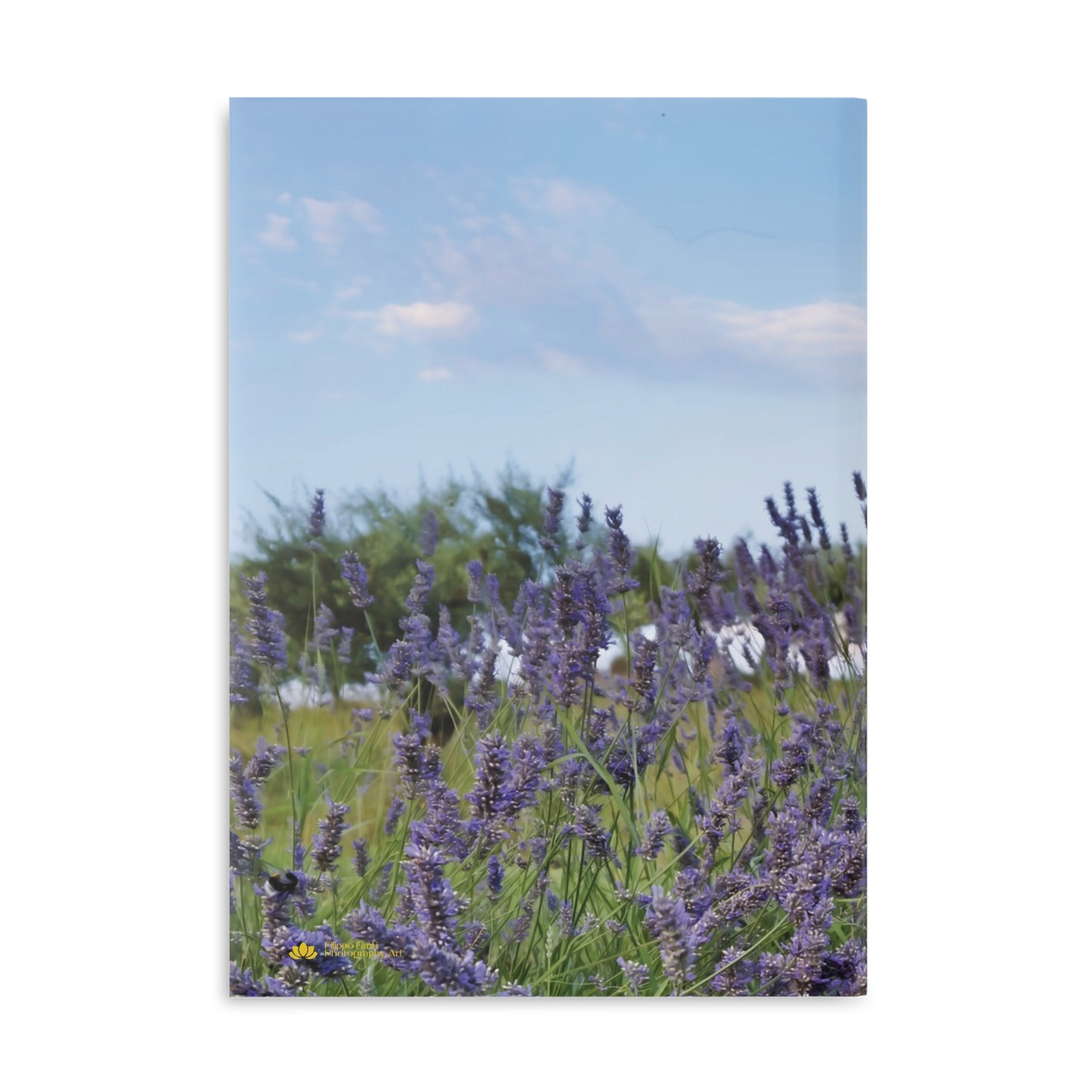 Hardcover Notebook with Puffy Covers - Flower of Lavender