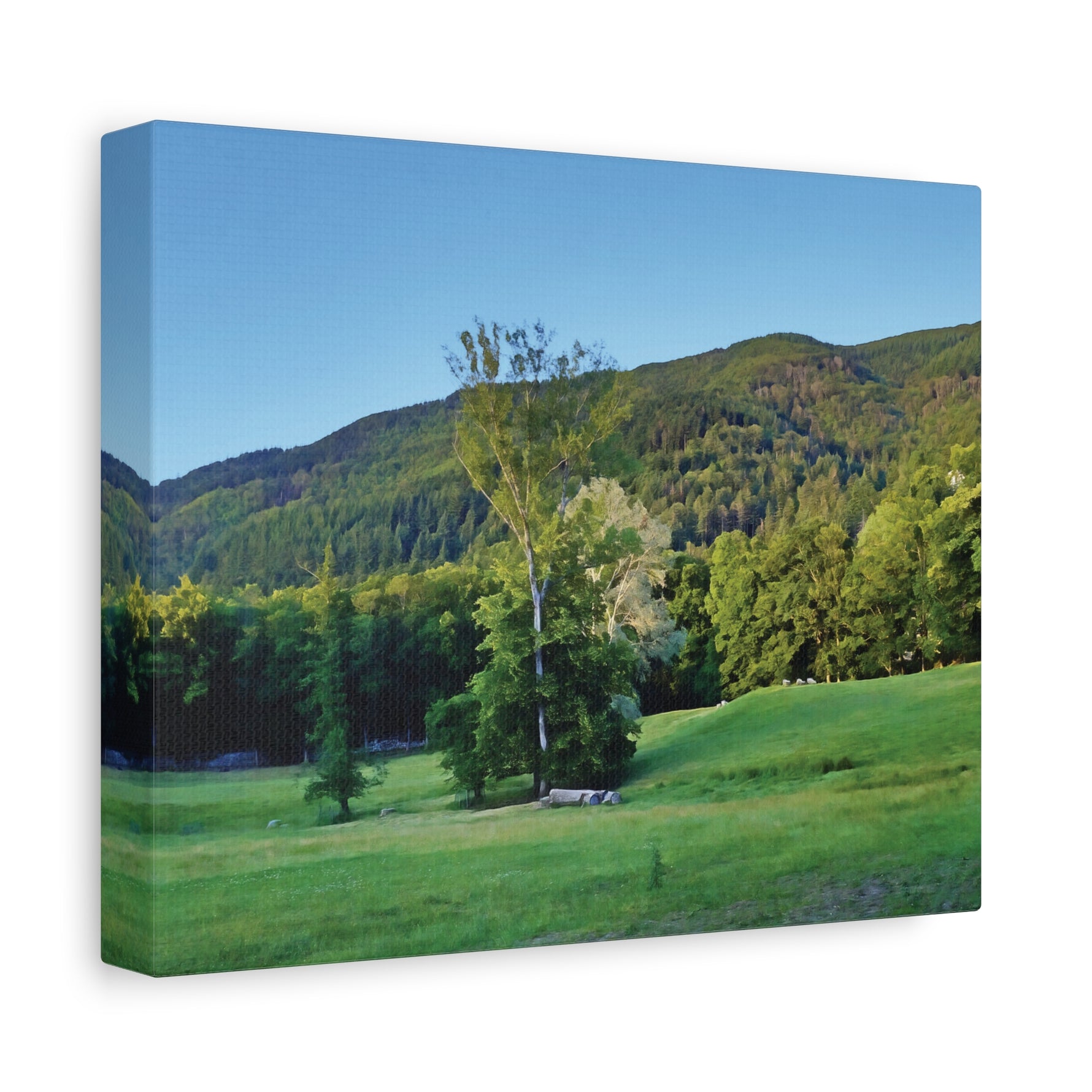 Stretched Matte Canvas - Tree in a lawn (Variant 3)