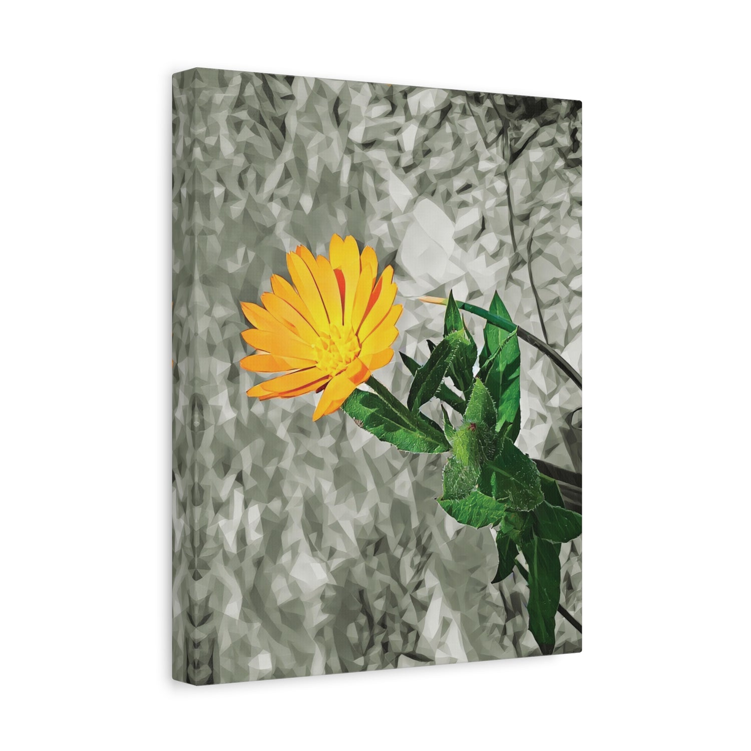 Stretched Matte Canvas - Poly Art - Flower of Calendula (Variant 1)