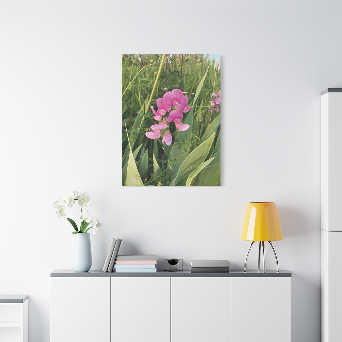 Stretched Matte Canvas - Flower of Lathyrus