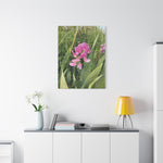Stretched Matte Canvas - Flower of Lathyrus