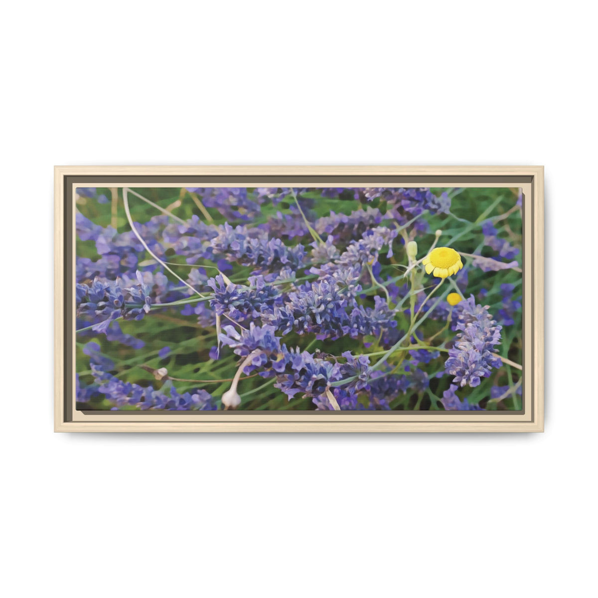 Lavender & Chamomile  | Framed Canvas
