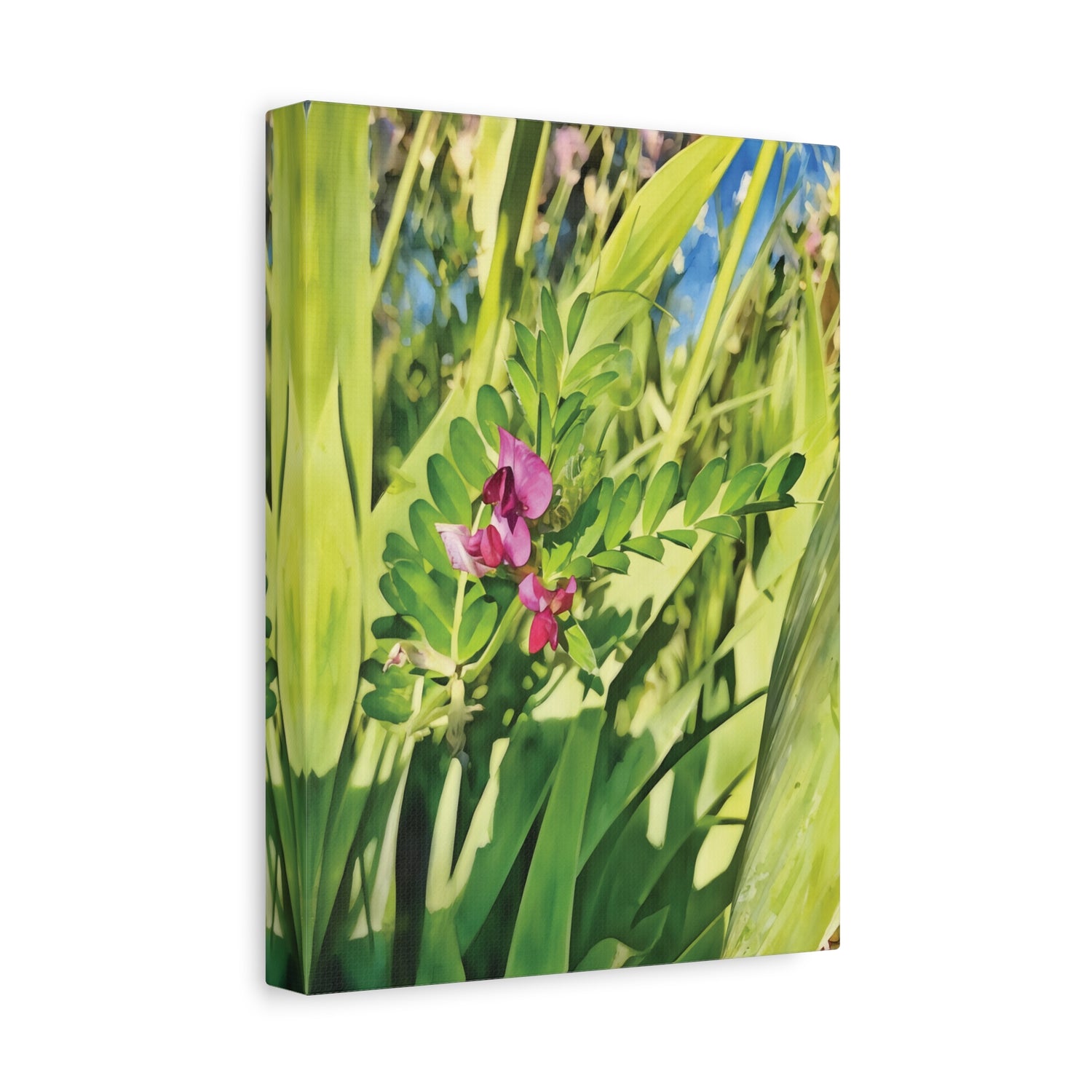 Stretched Matte Canvas - Flower of Vicia Sativa
