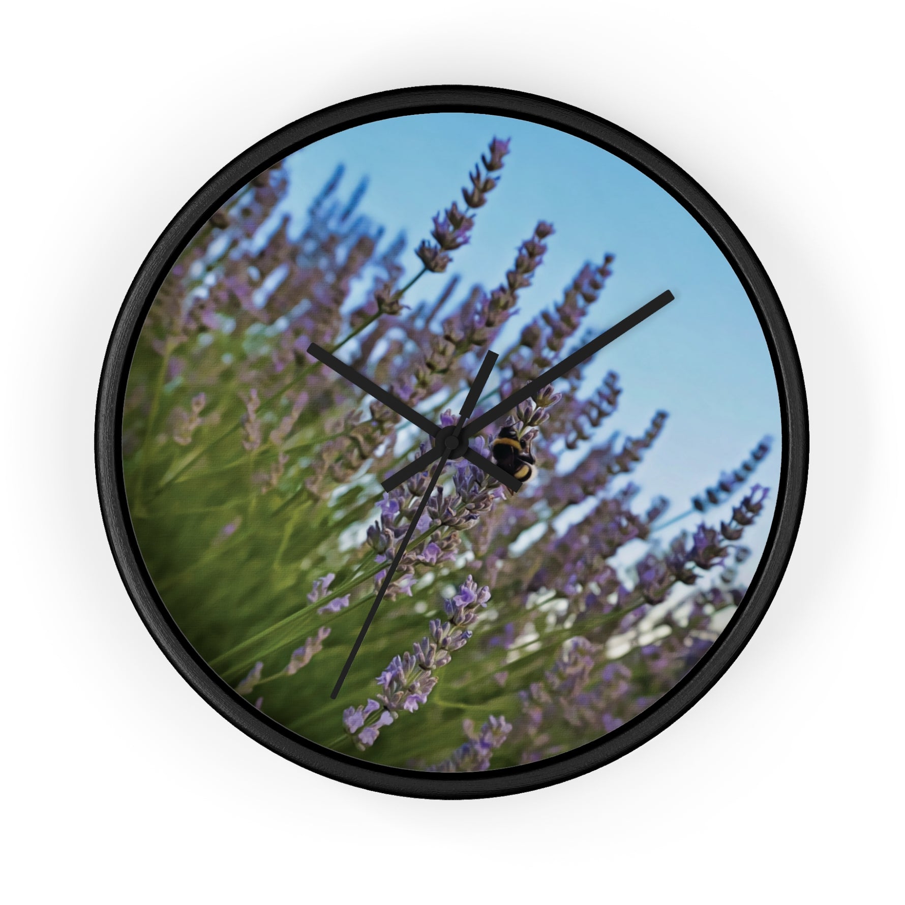 Wall Clock - Flower of Lavender with Bombus Insect (Variant 1)