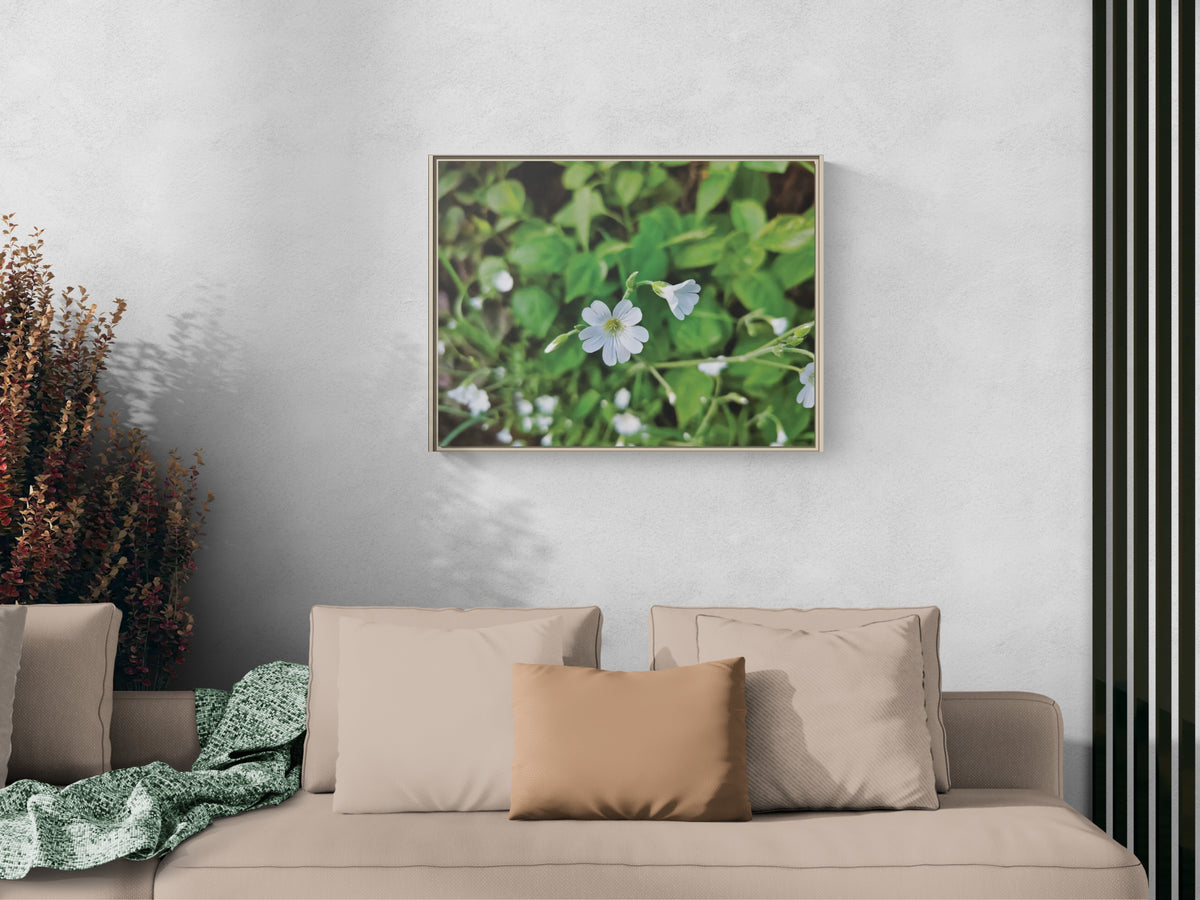 Framed wall art featuring white flowers in green foliage above a beige sofa with cushions