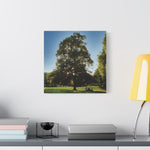 Stretched Matte Canvas - Tree in a lawn (Variant 1)