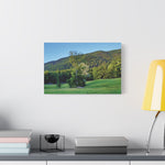 Stretched Matte Canvas - Tree in a lawn (Variant 3)