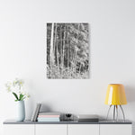 Stretched Matte Canvas - Bamboo (B&W variant)
