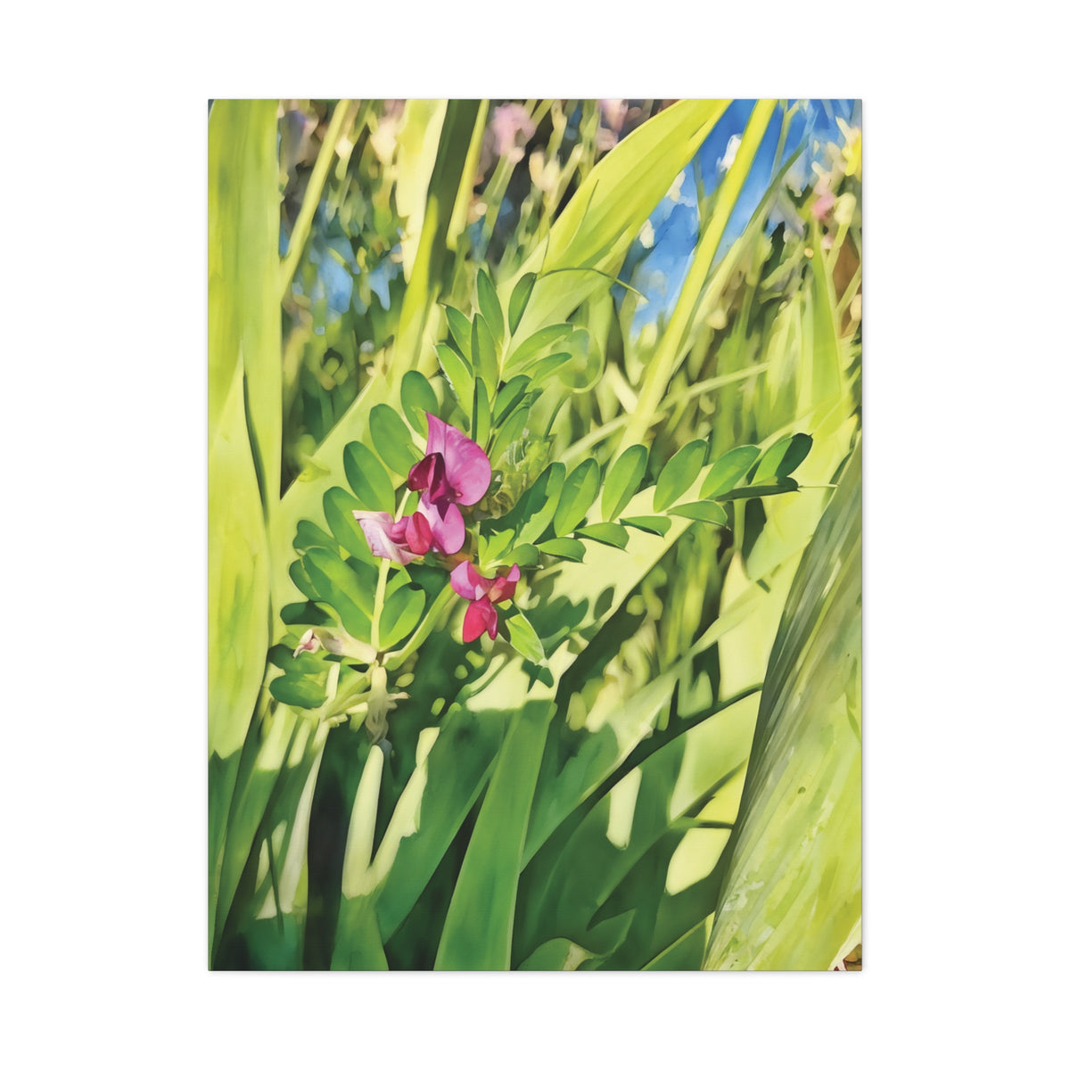 Stretched Matte Canvas - Flower of Vicia Sativa