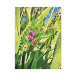 Stretched Matte Canvas - Flower of Vicia Sativa