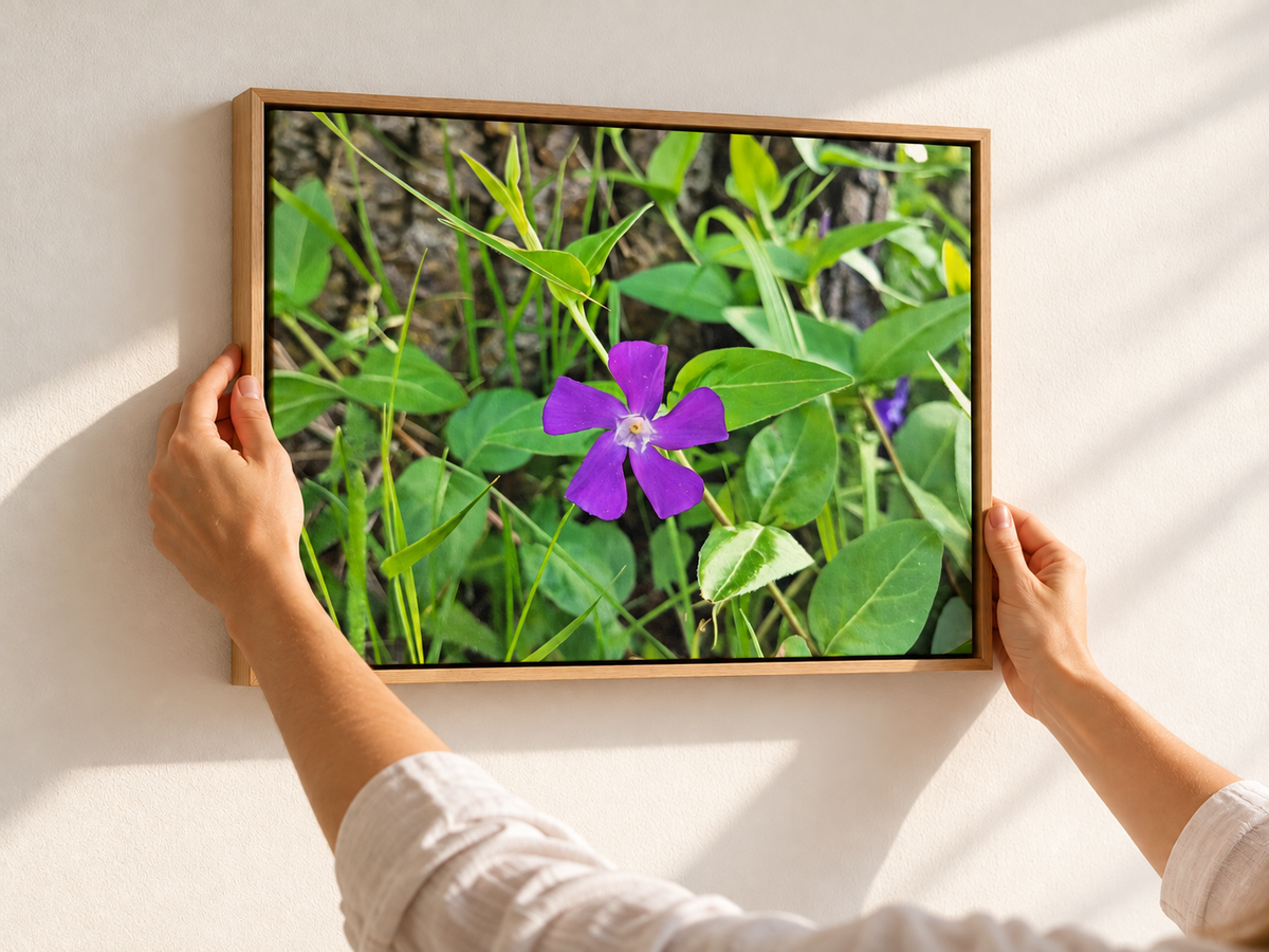 A framed wall art print showing a purple flower among green leaves, held against a white wall by a person's hands and arms.