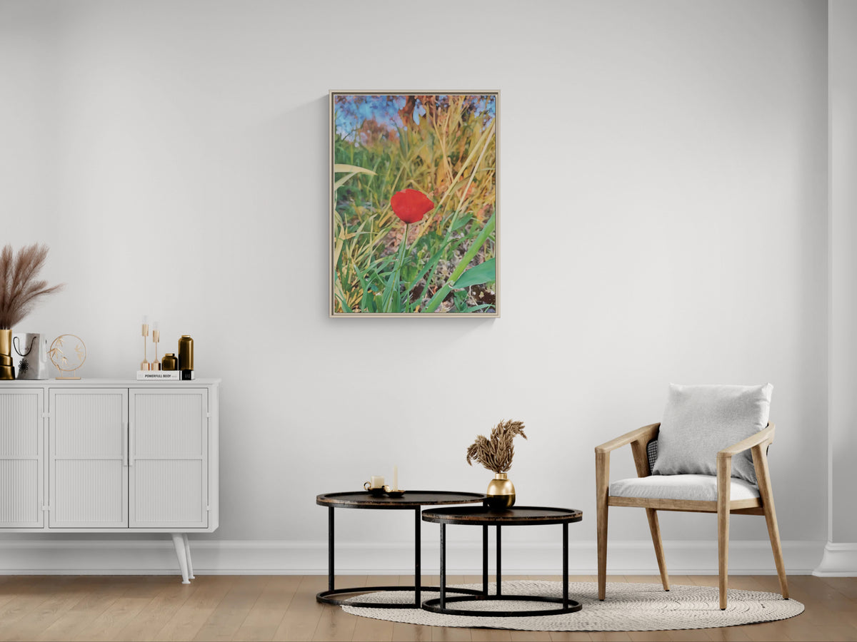 Framed canvas of a single red poppy in a field hanging on a white wall above a modern living room