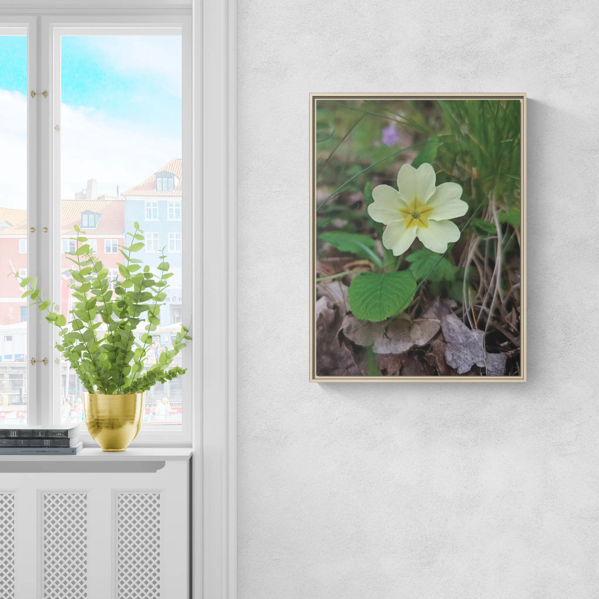 Framed wall art featuring a pale yellow primrose flower in a natural setting