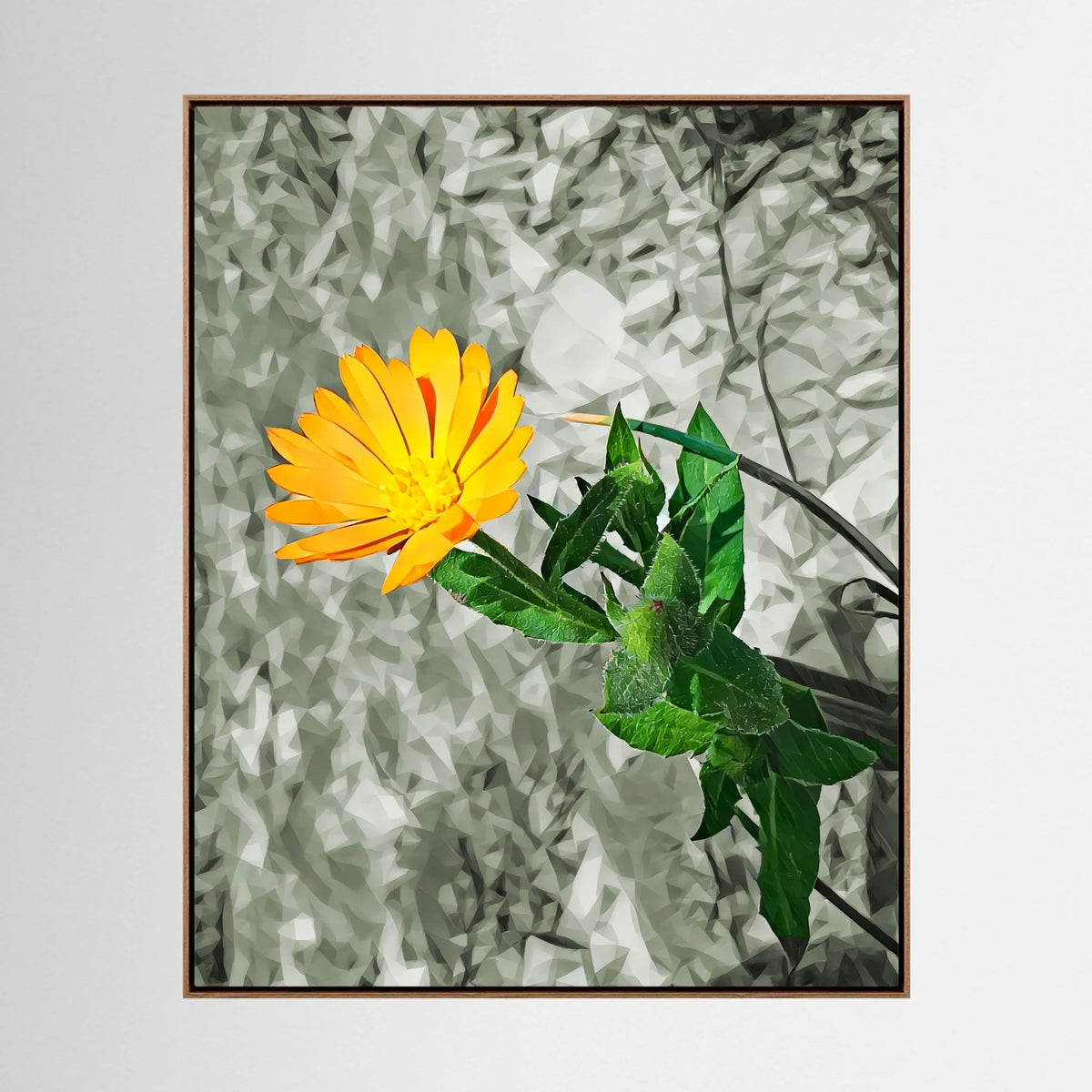 Calendula | Poly Art