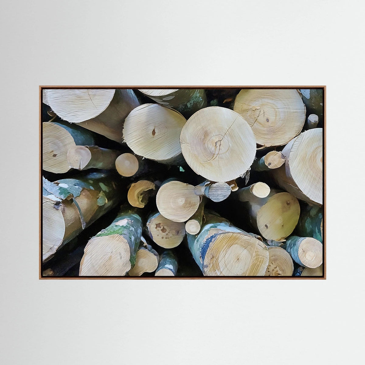 Tree Rings, Stories of Time I