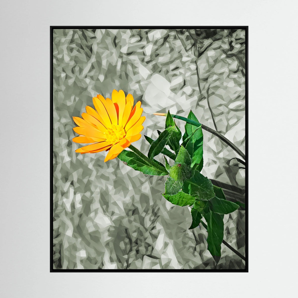 Calendula | Poly Art