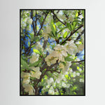 Apple Blossoms, Day Light | Poly Art