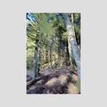 Forest, Among the Trees | Poly Art