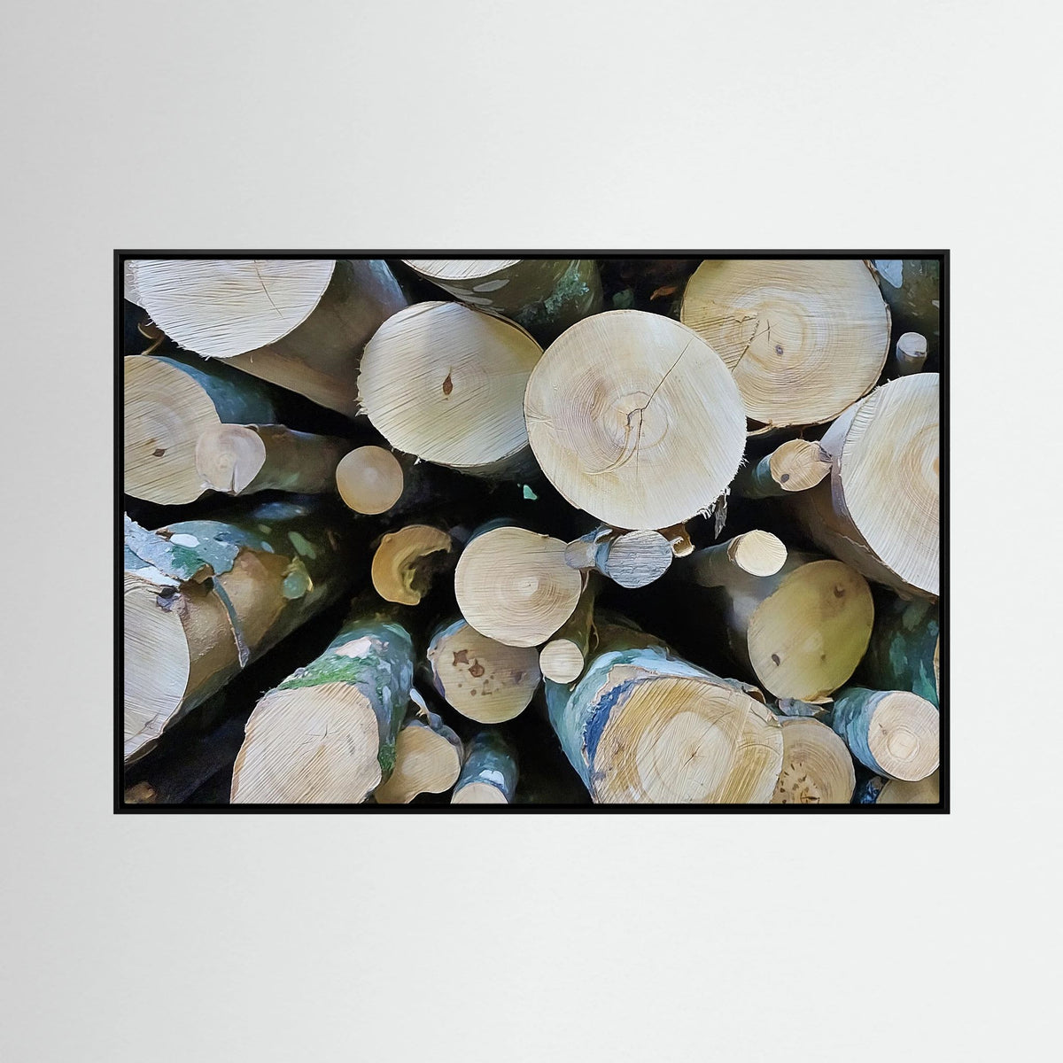 Tree Rings, Stories of Time I